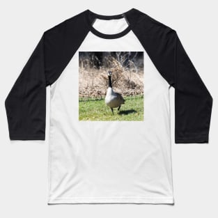 Canada Geese Baseball T-Shirt